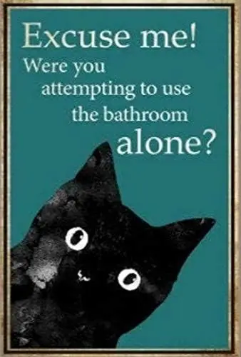 Excuse Me Cat Funny Bathroom Metal Sign 12