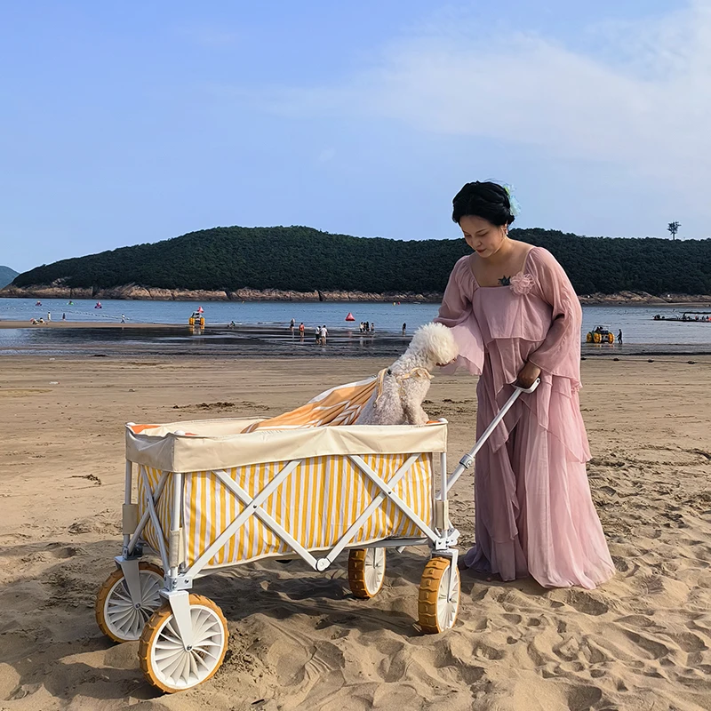 

Customizable Pattern Luxury Beach Trolley with Big Wheels for Sands Camping Folding Beach Cart