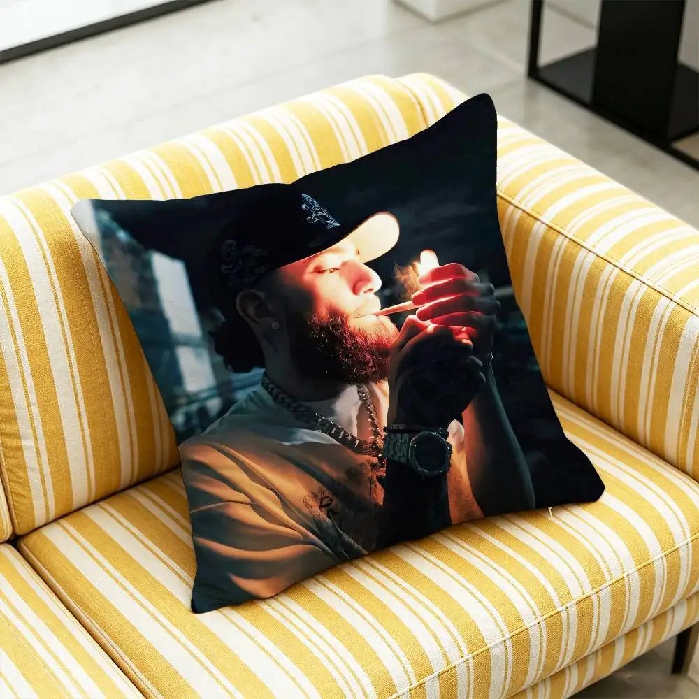 For Hades66 Throw Pillow Case 45cm 30cm 40cm Decoration DIY Square Chair Pillowcase Pad Cover