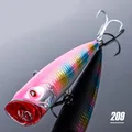 209 9069