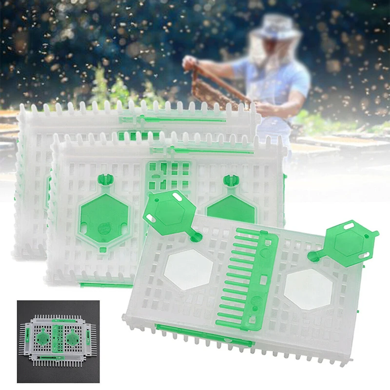 

Hive Queen bee cage Rectangular Plastic Needle Beekeeping Equipment Catcher For apiculture Accessories Tools Durable