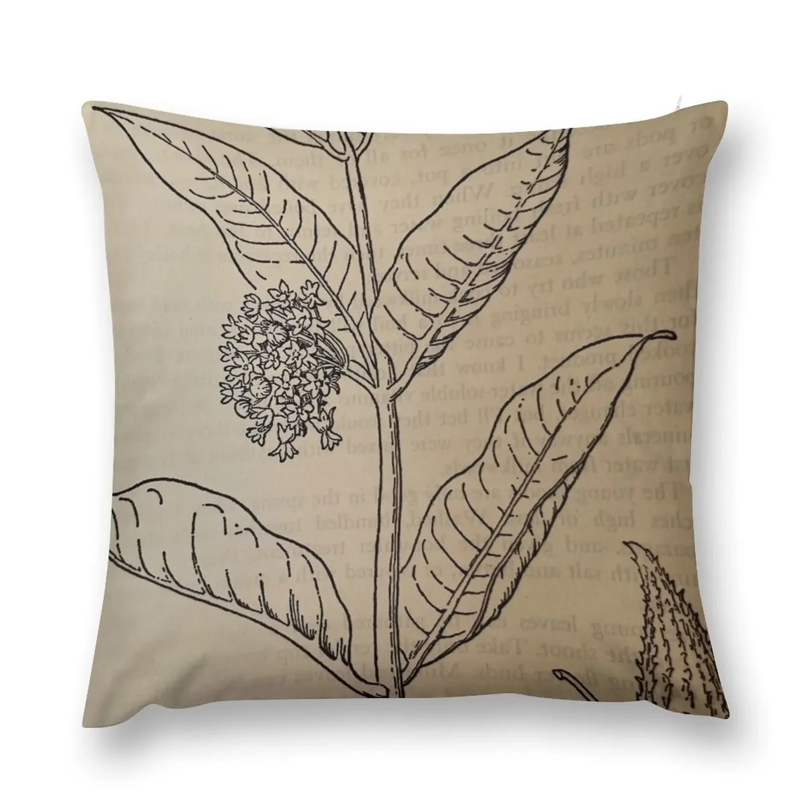 Vintage Picture of Milkweed Throw Pillow Decorative Pillow Covers For Sofa Decorative pillow case autumn decoration