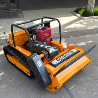 Customized AWY Robot Grass Cutter Cutting Width 800mm 1000mm 1200mm 650W Brushless Motor Remote Control Crawler Flail Mower