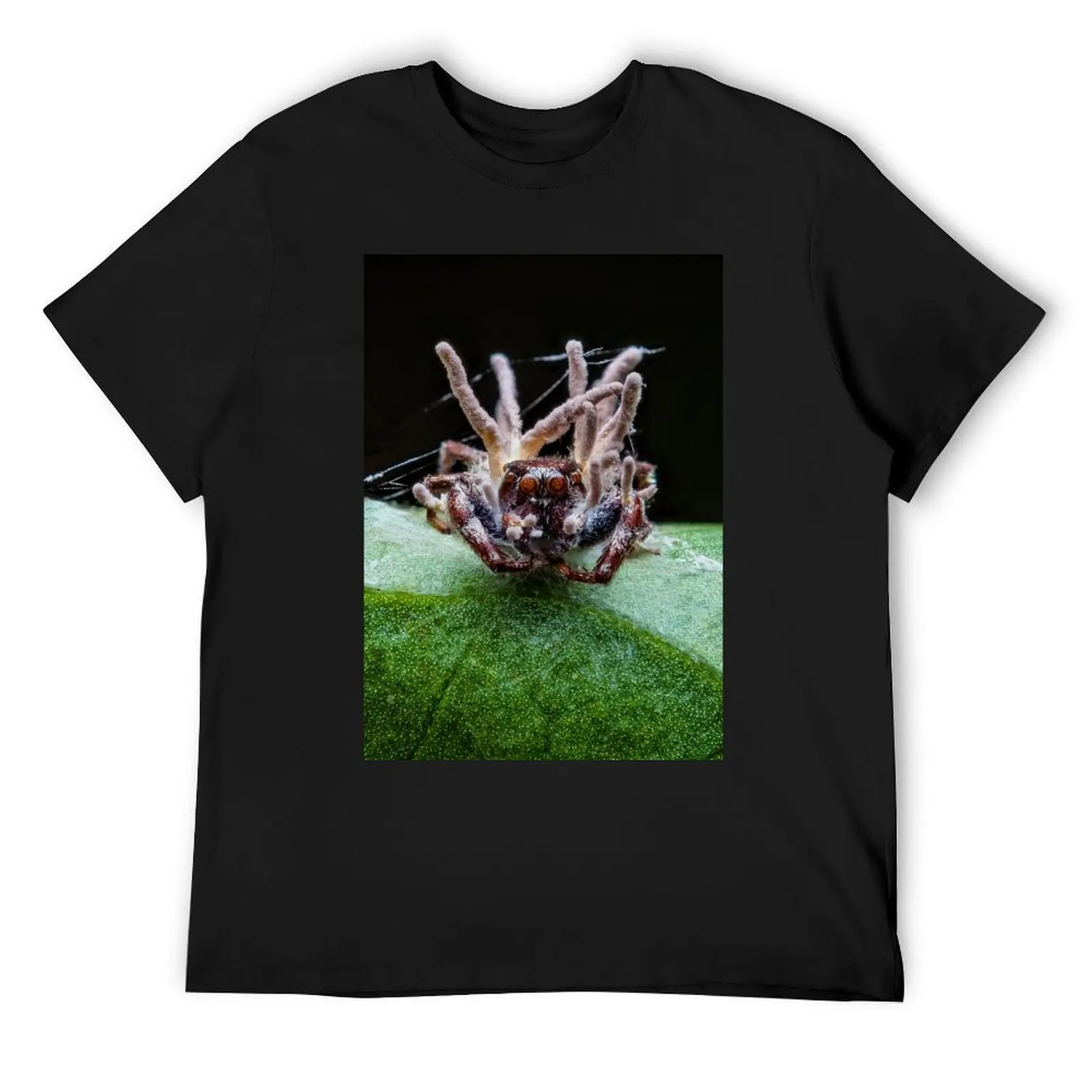 

Zombie Jumping Spider - Cordyceps Fungus Infection T-Shirt vintage clothes oversize t-shirts man mens t shirts pack