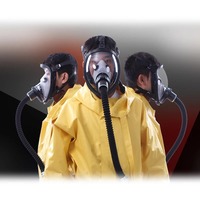 Protective Electric Constant Flow Supplied Air Fed Full Face Gas Mask Respirator Safe Breath System Device Mask Combo Workplace