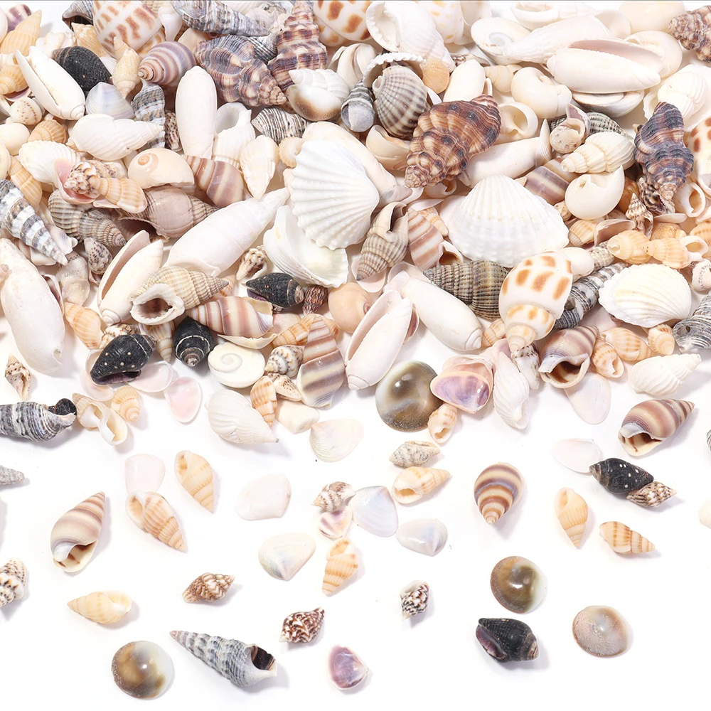 40 gr/los Meer Blume Schnecke Shell Perlen Lose Spacer Perlen Für Schmuck Machen DIY Armband Anhänger Telefon Schlüssel Tasche Kette Zubehör