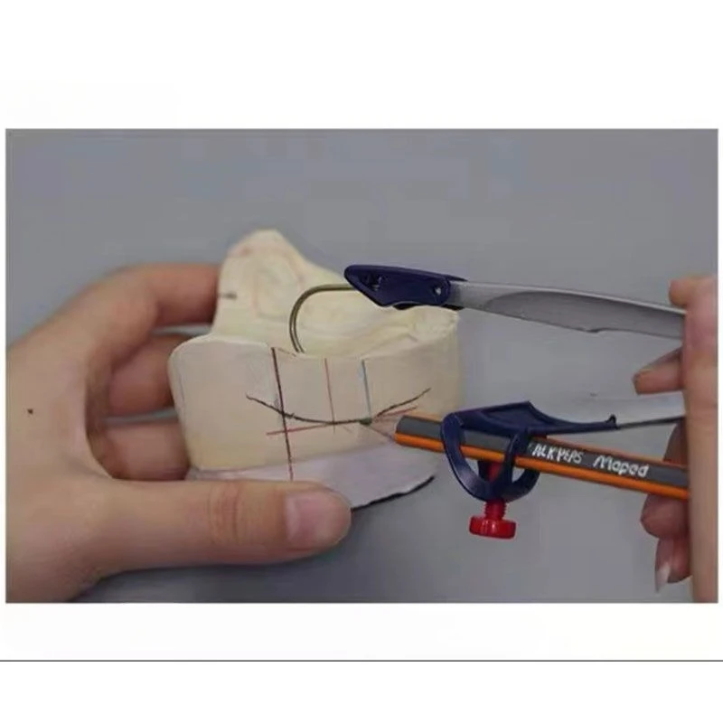 أداة طب الأسنان Alveolar Ridge قوس الخط العلوي نقل كامل الفم نموذج تحليل أسنان خط الرسم فني طقم أسنان مقياس دائري