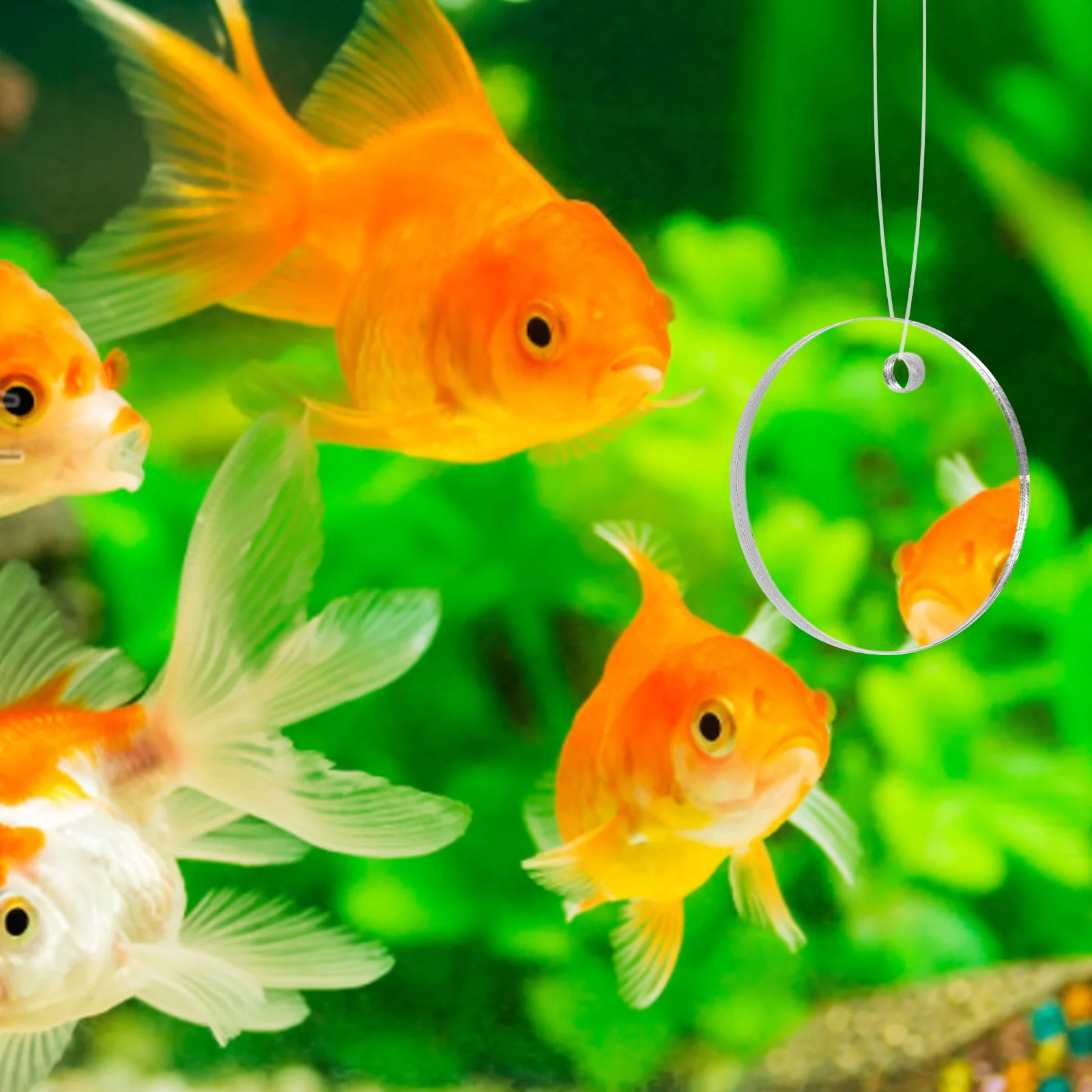 

Acrylic Betta Training Mirror Round Toy Double Side Decor Floating Fish Tank Safe Material Non Fading Durability Pet Supplies