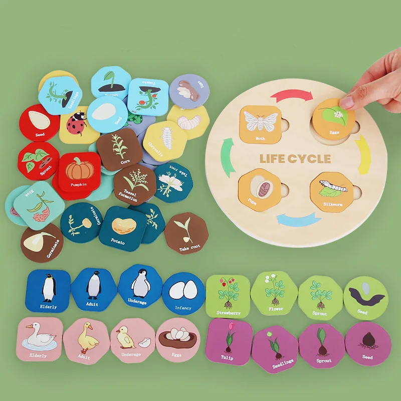 Life Cycle Board Montessori Kit Biology Science Education For Kids Sensory Tray Animal Figure Life Cycle Sorting Christmas Gift