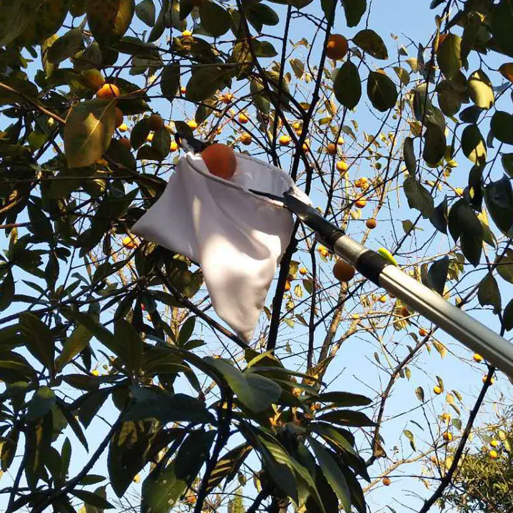 

Telescoping Fruit Picker Detachable Basket Easy Picking Safe Gathering Reusable Gardening Tool Long Reach Pole Harvest Aid Fruit