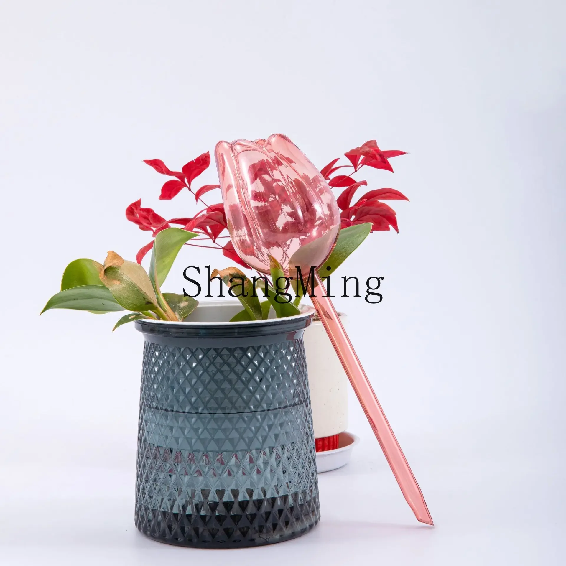 

CL tulip watering device, lazy automatic flower watering artifact, lazy flower watering supplies