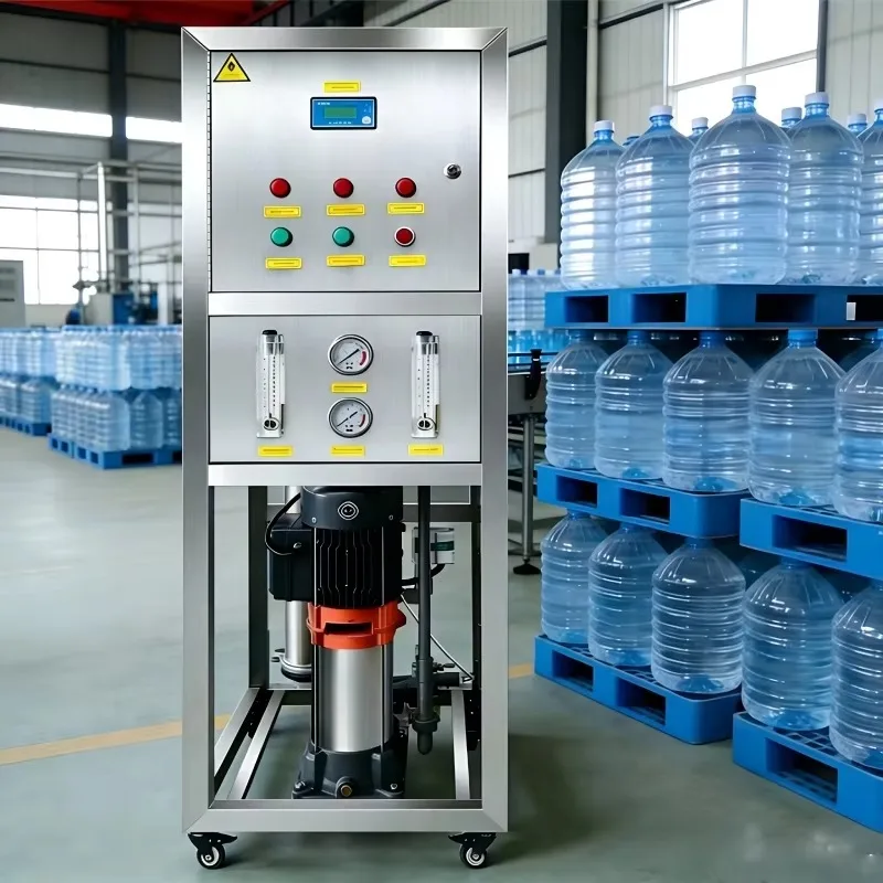 Commercial Water Treatment Equipment 250LPH RO System Reverse Osmosis Purifier with 4040 Membrane