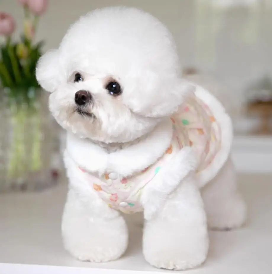 

Winter Dog Clothes Chinese New Dog jacket Clothing Coat Yorkie Pomeranian Poodle Bichon Schnauzer Costume Pet Apparel