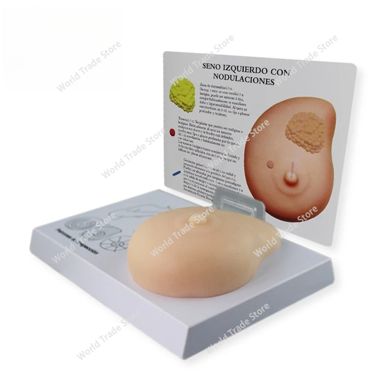 

For Red Leaf Teaching Instrument silicone breast self-examination model, teaching breast pathology self-examination model