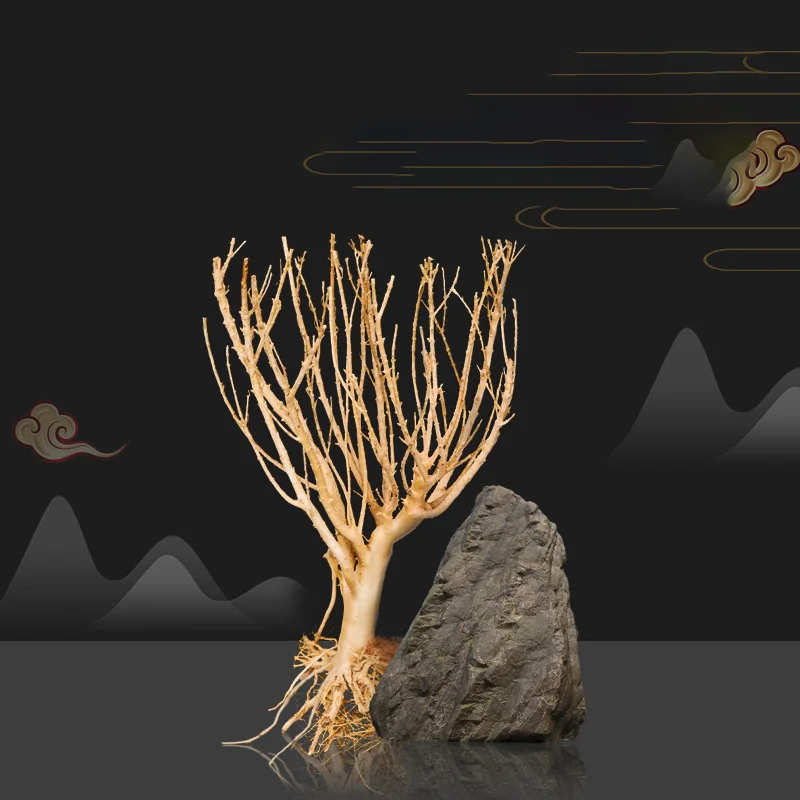 Driftwood Moss Tree Plants for Natural Driftwood Branches Aquarium Wood Aquarium Decoration Fish Tank Landscaping Decorations