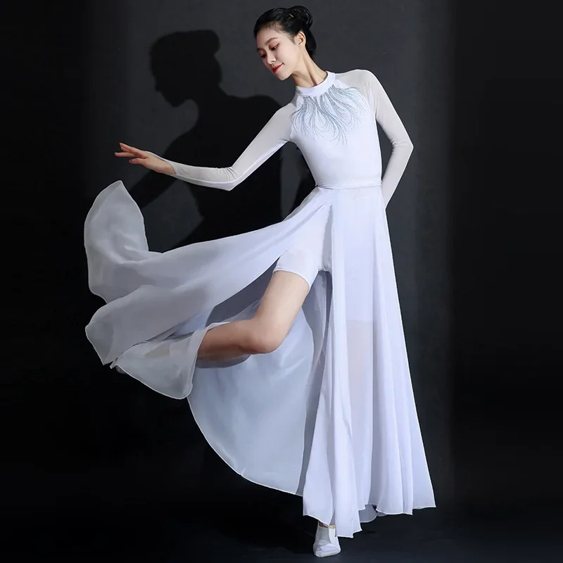 Classical Dance Costume Elegant Red Women Chiffon Flowy Long Dancewear  Opening Modern Dance Professional Performance Maxi Skirt - AliExpress