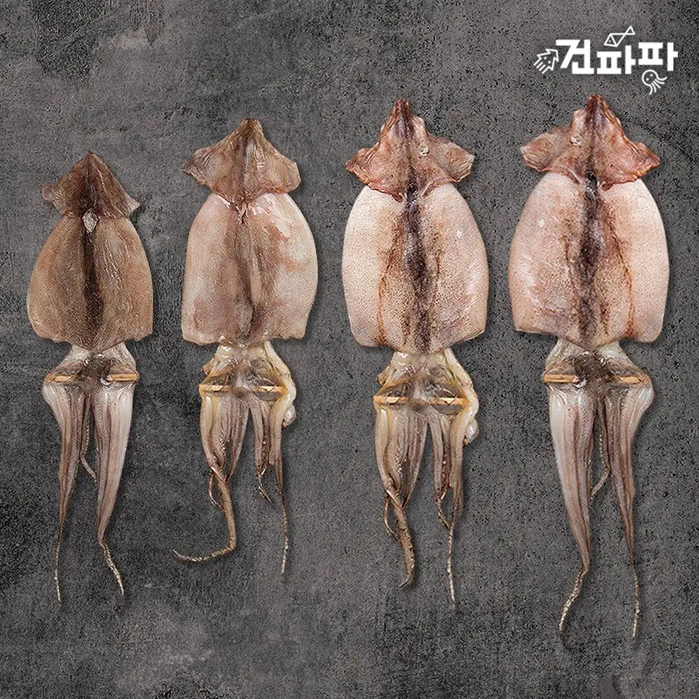 [품질보증] 구룡포건조 원양산 반건조오징어 피데기 왕특 5미 (약 750g) 