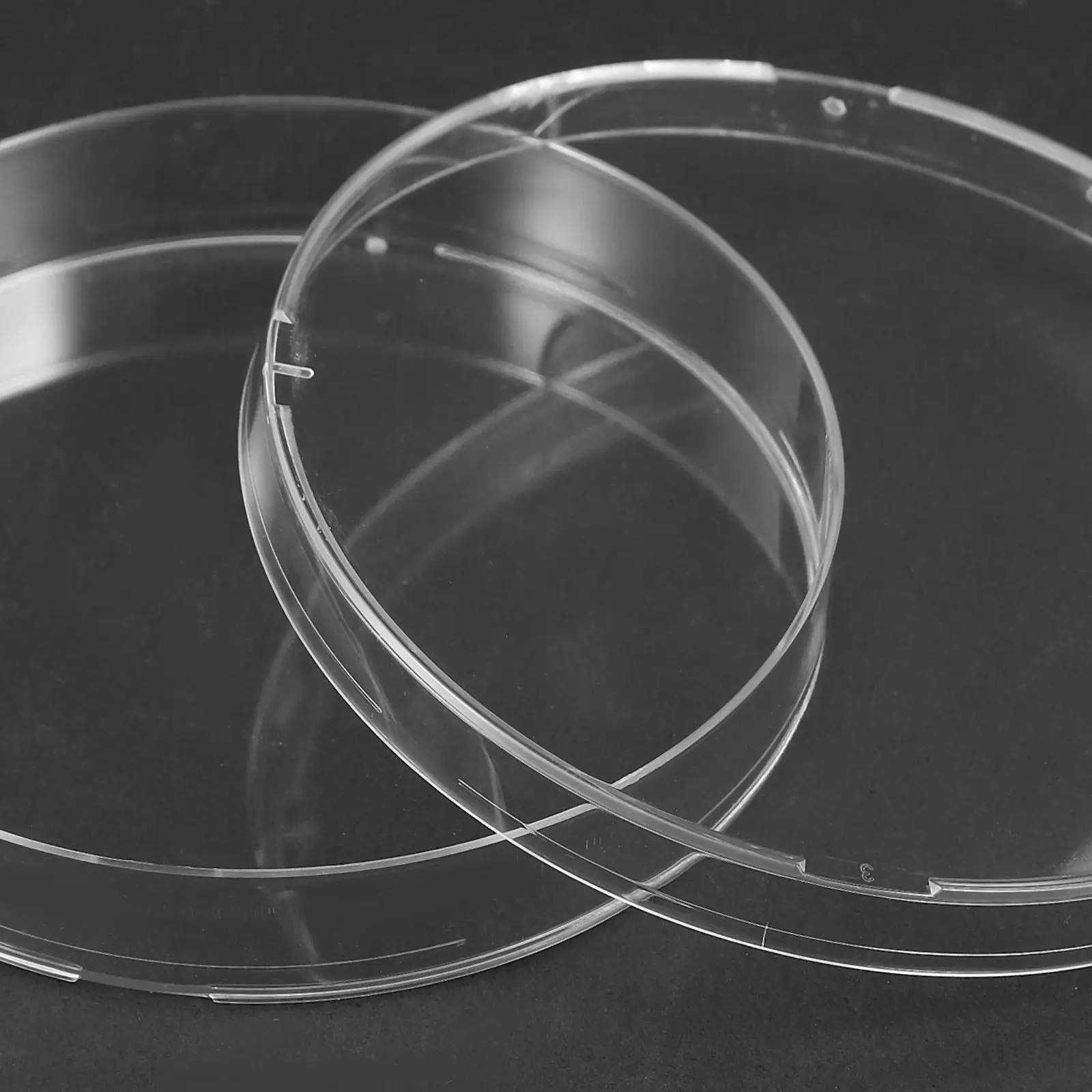 20 Placas de Petri Transparentes para Cultivo Celular, Placas de Agar para Investigación de Laboratorio, Cultivo de Tejidos Celulares, Placas de Agar para Hongos