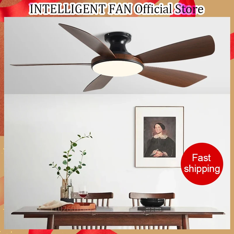 

56Inch Low Floor Ceiling Fan Light Modern Black ABS Blade DC Remote Control Led Fan Lights Restaurant The bedroom 110V 220V