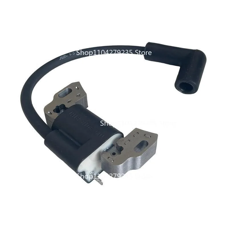 

593872 Высоковольтный пакет, подходящий для Briggs and Stratton 798534 799582 593381