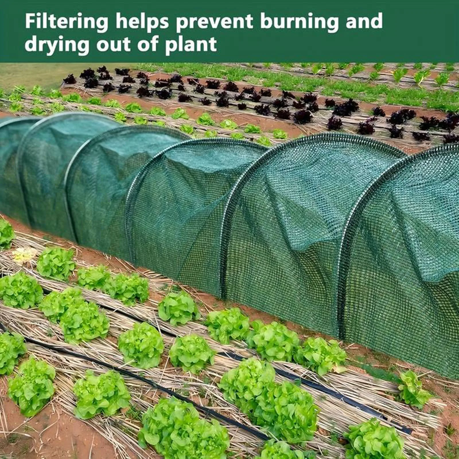 

3M Greenhouse Tunnel Shade Net Cover Portable Cloche Hoops for Outdoor Garden Courtyard Patio Farm Vegetable Plant Growing