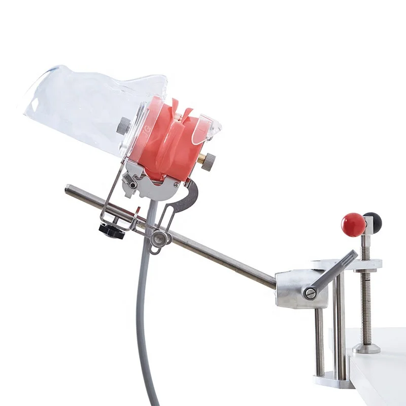 Head Models Nissin Manikin Phantom with clear Plastic Head for Various Types of Dental Training
