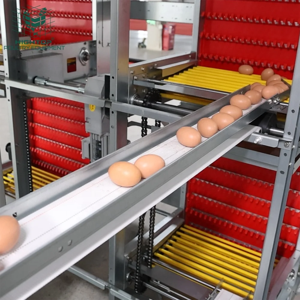 Factory Price Easy Installation Galvanized Steel Mesh Enriched Layer Chicken Cages System for Commercial Chicken Farm
