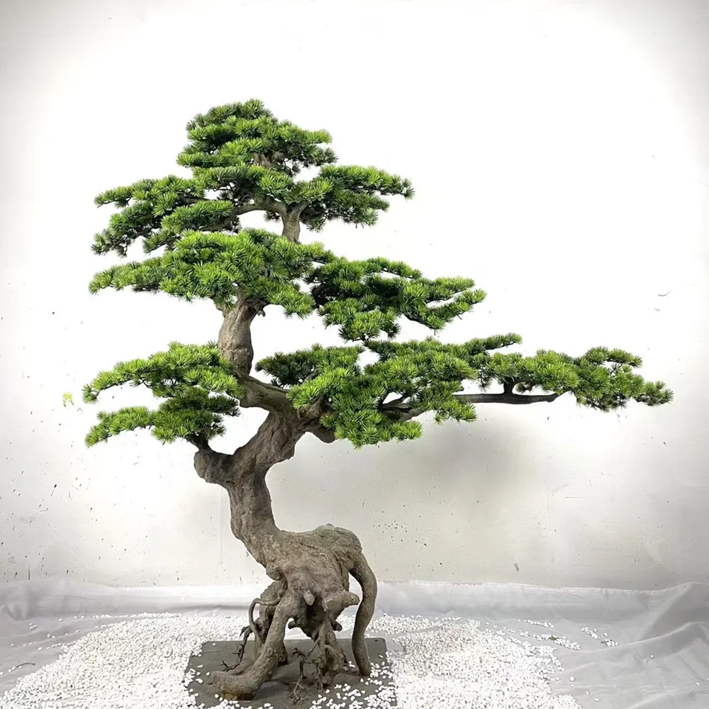 

Artificial tree Chinese simulation welcome pine, porch cypress pendant living room decoration