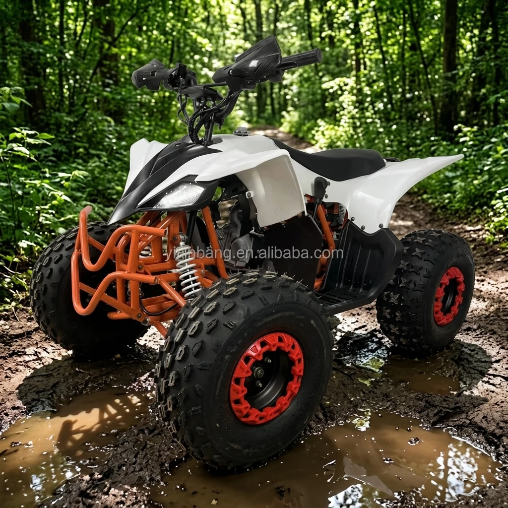 

125cc 4 Stroke 1cylinder Air-cooled ATV