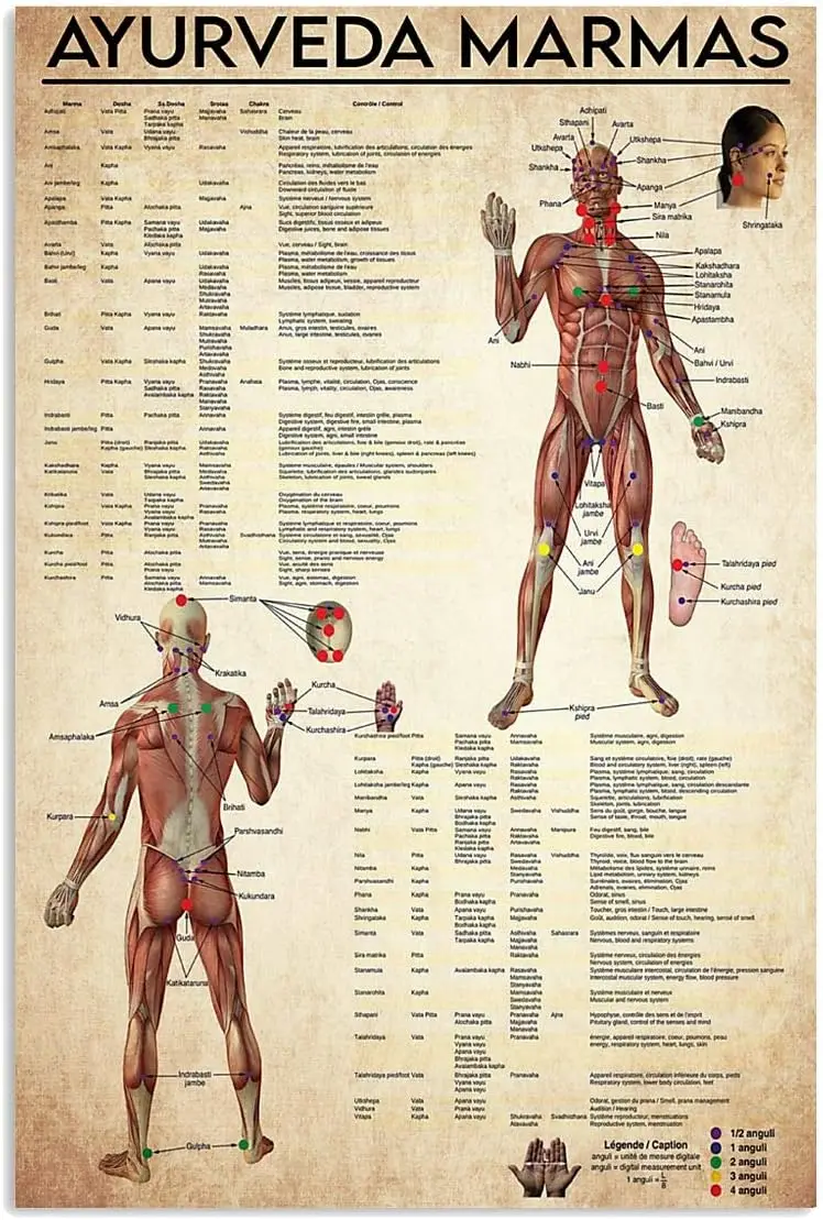 Y1,Ayurveda Marmas Metal Signs Retro Medical Knowledge Posters Learning Infographics Decorative Plaques Home Club Office Wall De