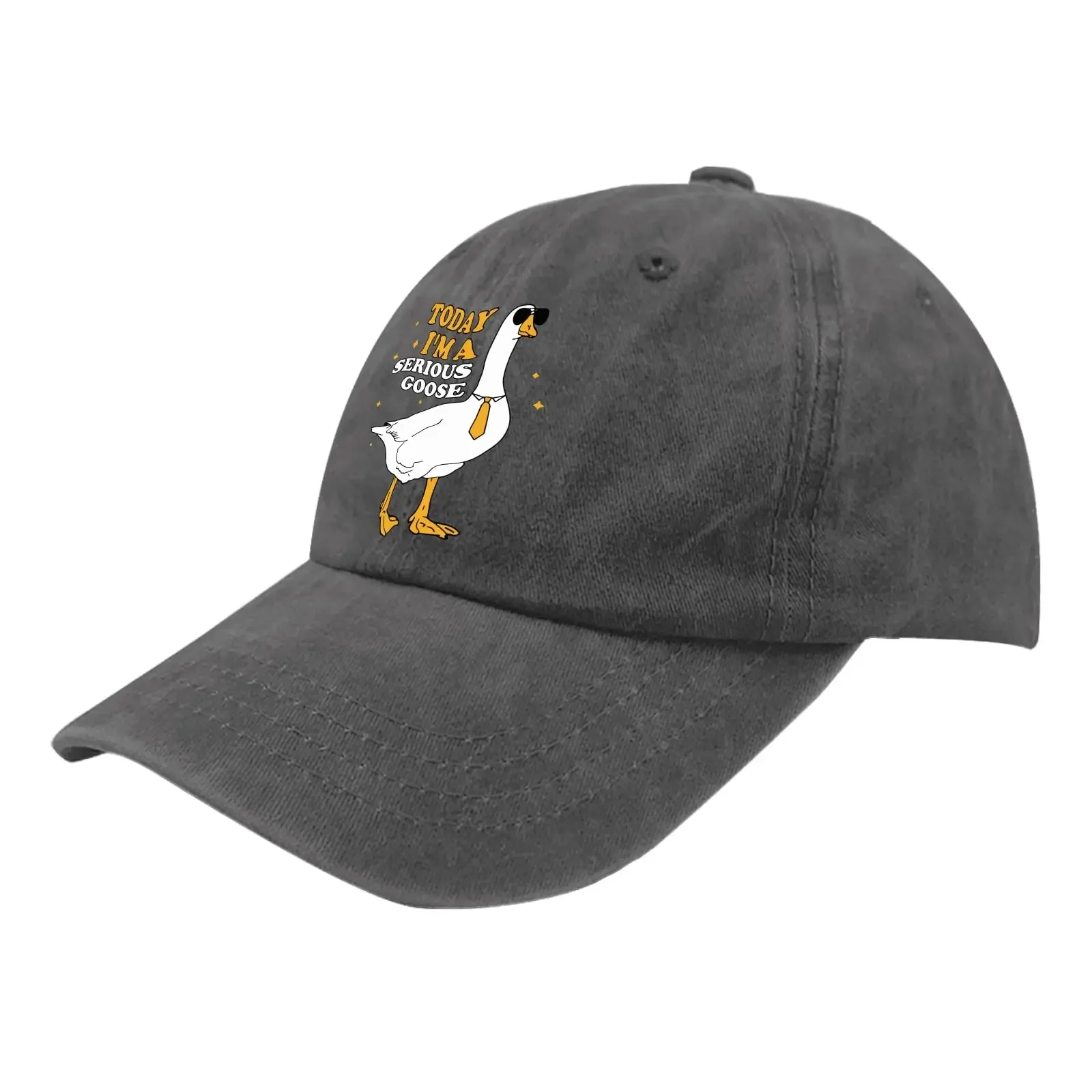 Today I'm A Serious Goose Golf Hat Camp Hat Pigment Black Dad Hats for Men Gifts for Men Cool Hats