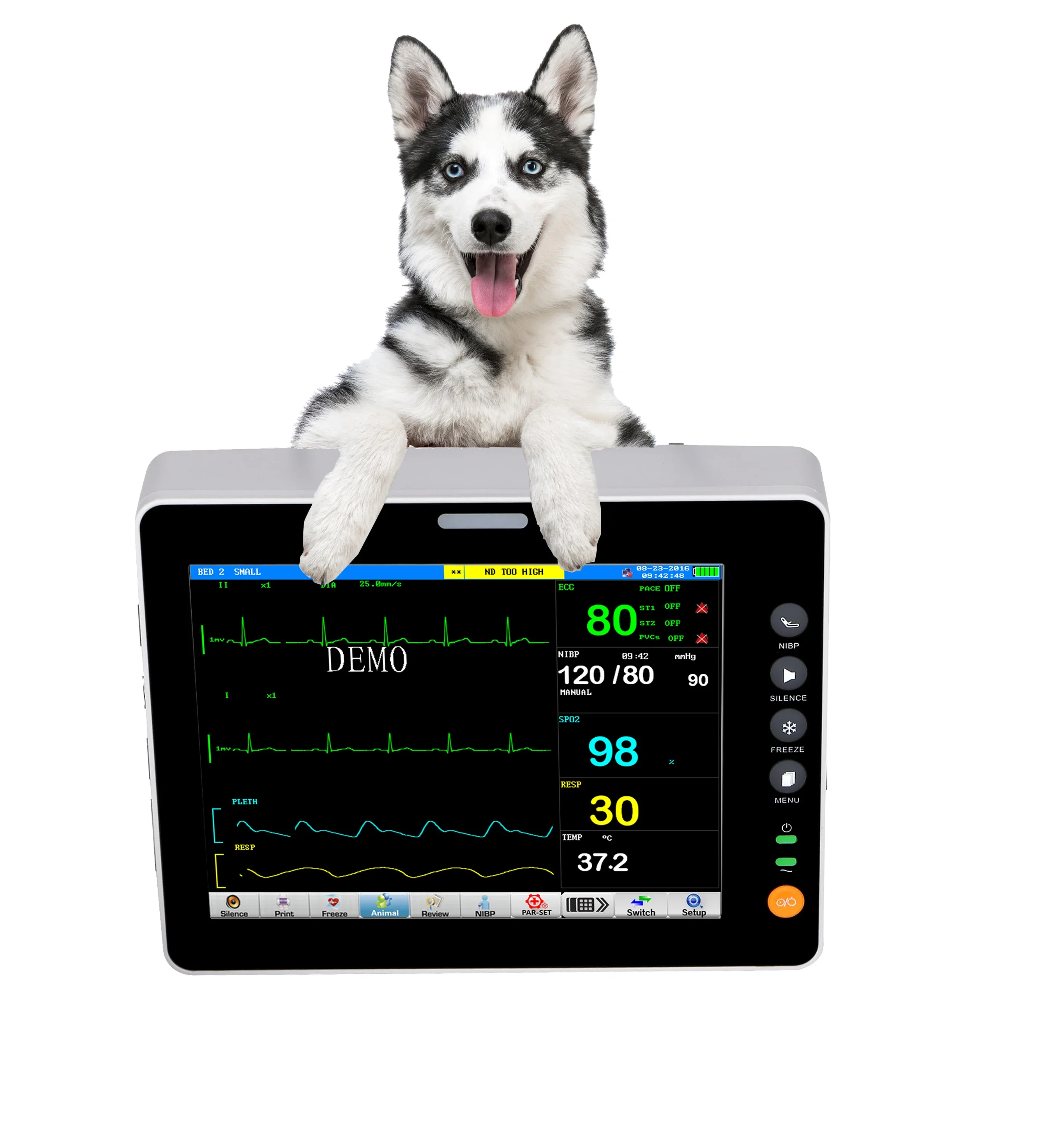 Pet Clinic Hospital Veterinary Patient Monitor