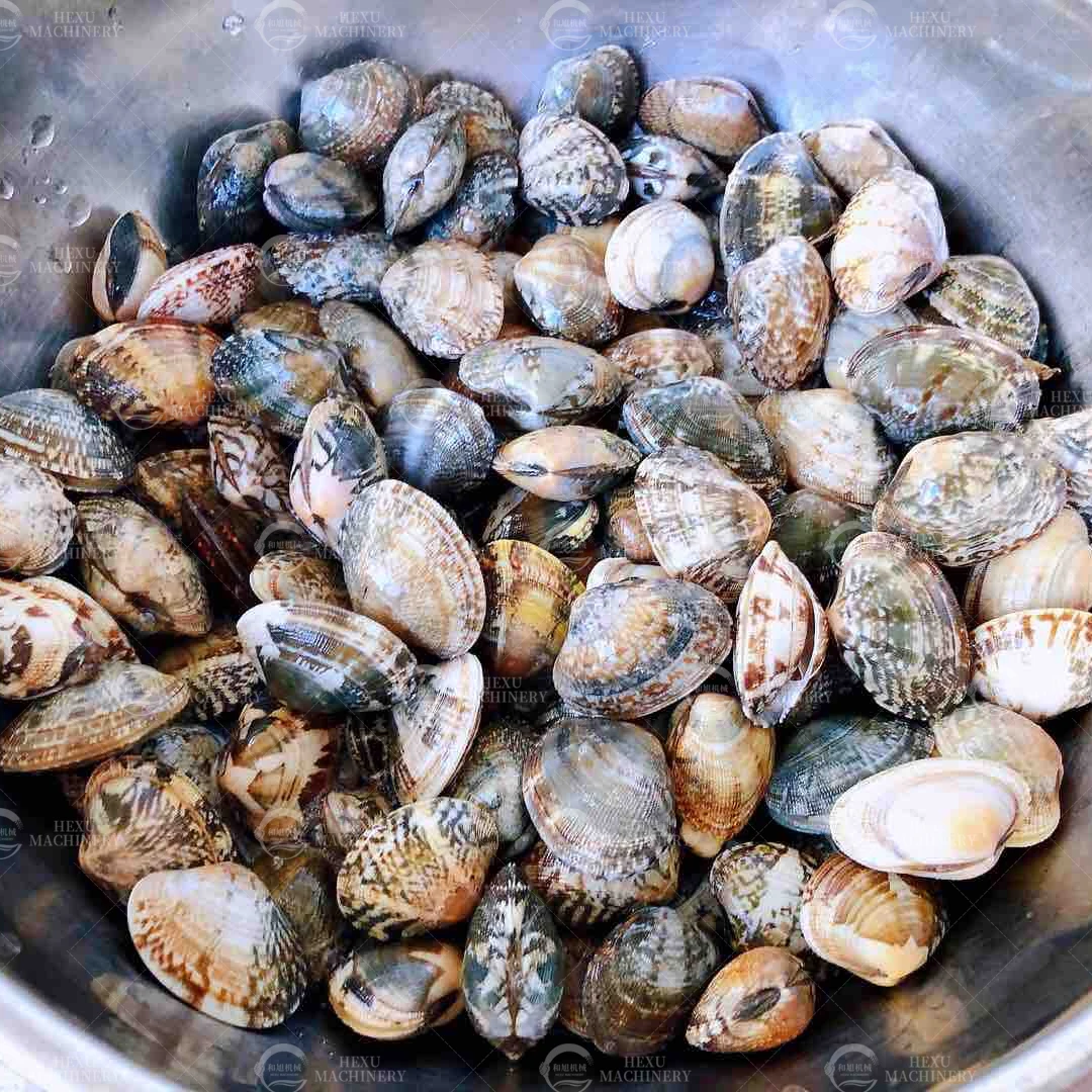 自動電気小魚スライスティラピアフィレエビバブルクリーニング洗濯機海輸送