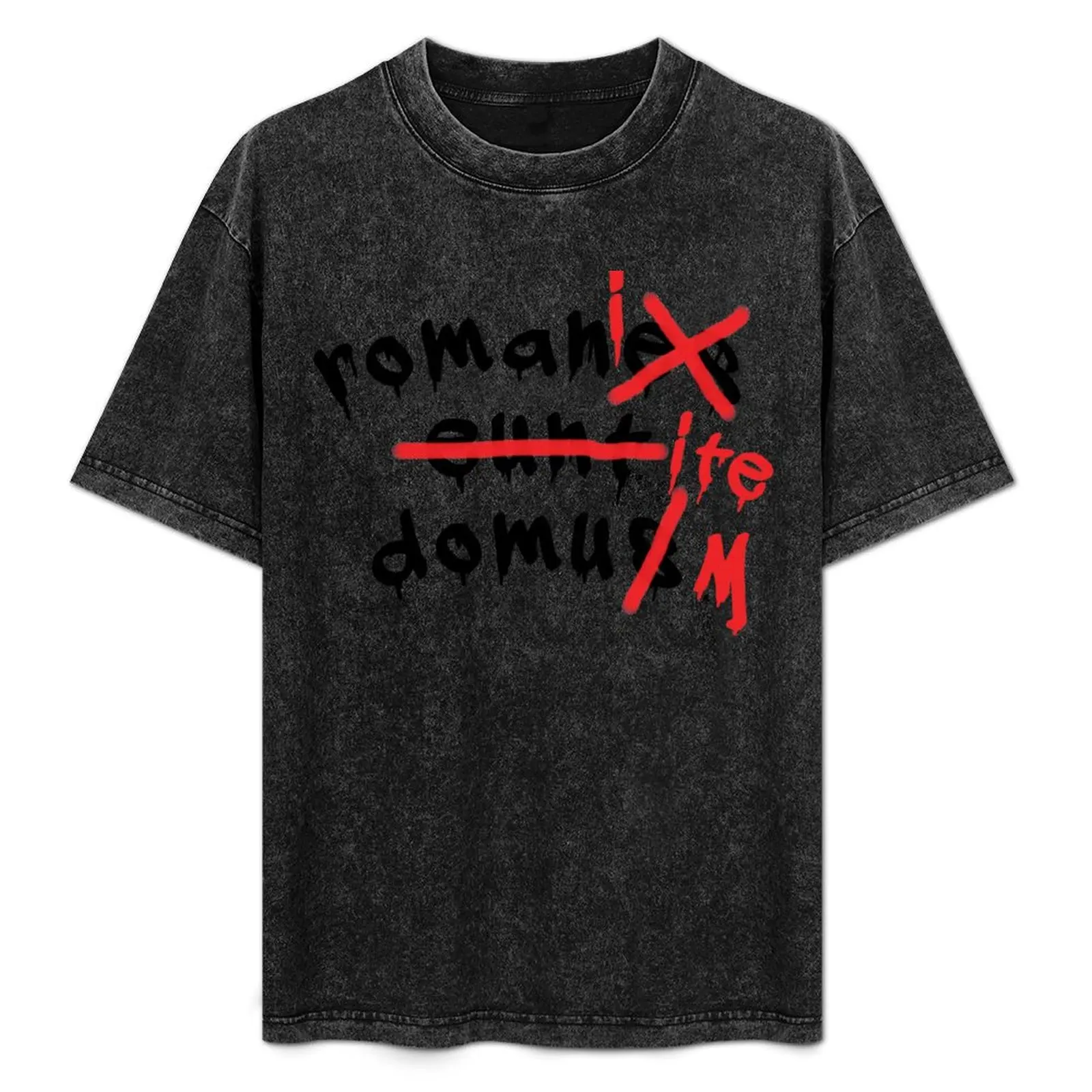 

Romani ite domum T-Shirt designer shirts T-shirts man men clothing