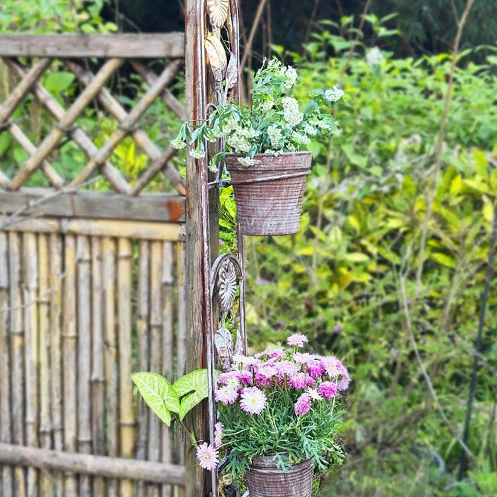 

Hanging Planter Pot Flowerpot Outdoor Indoor Plants Lawn Yard Wall Planter