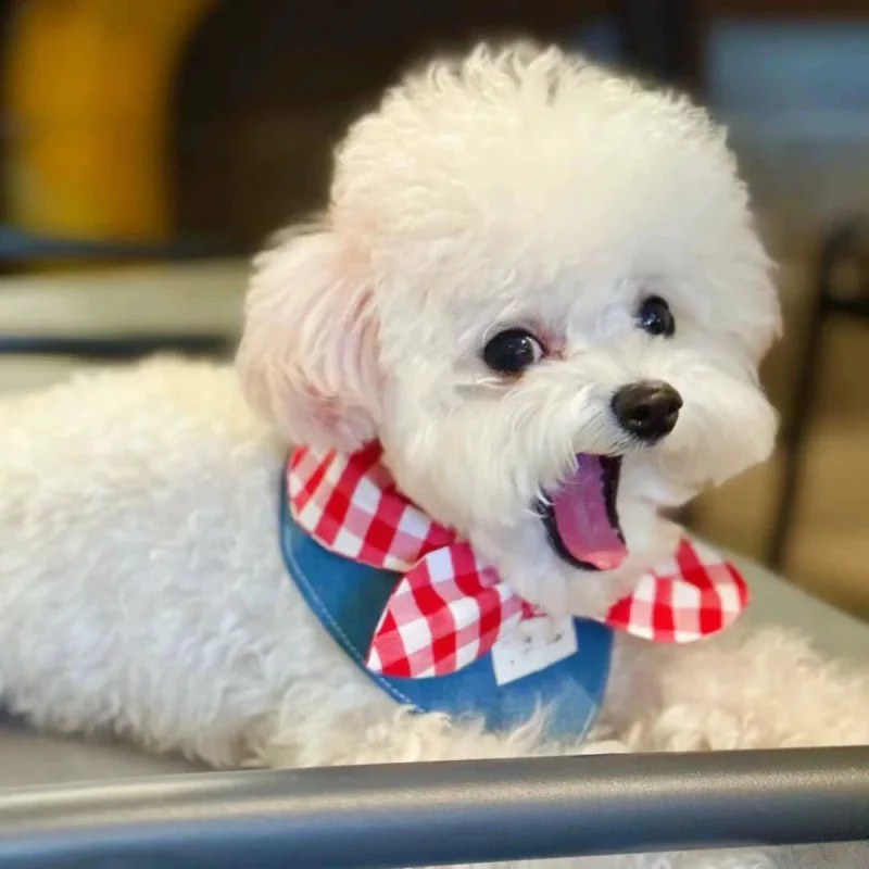 Lindo Pañuelo para Perros Pequeños, Bufanda para Mascotas para Poodle y Pomeranian, Accesorio para Collar de Gato