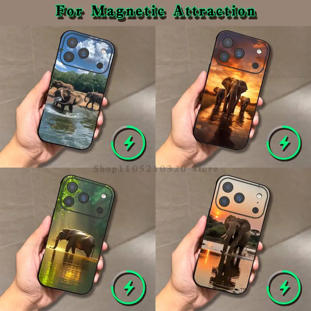 

Animal Elephant Phone Case For iPhone 16,17,15,14,13,12,11,Pro,Max,Plus,E,Air,Mini Magnetic Magsafe Frosted Black soft