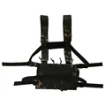 D3-B style CPBK