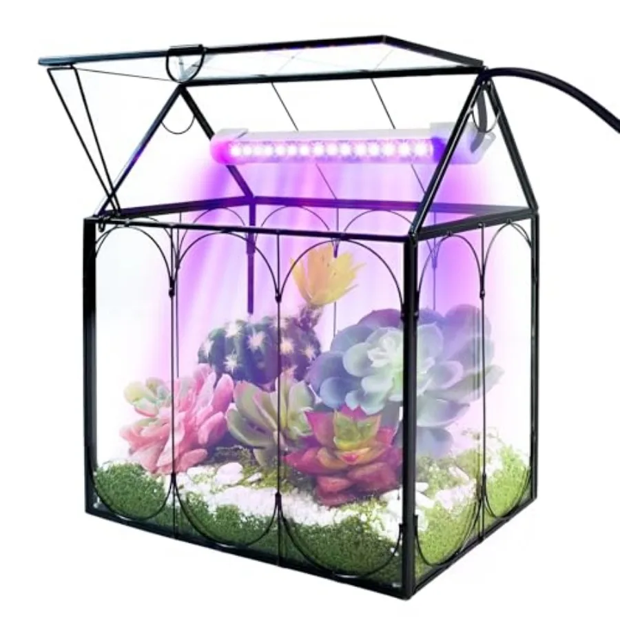 Plant Terrarium Kit with Grow Light, Small Glass Terrarium Jar with Absorbent Mat and Lid for Venus Fly Trap Succulent Live Air