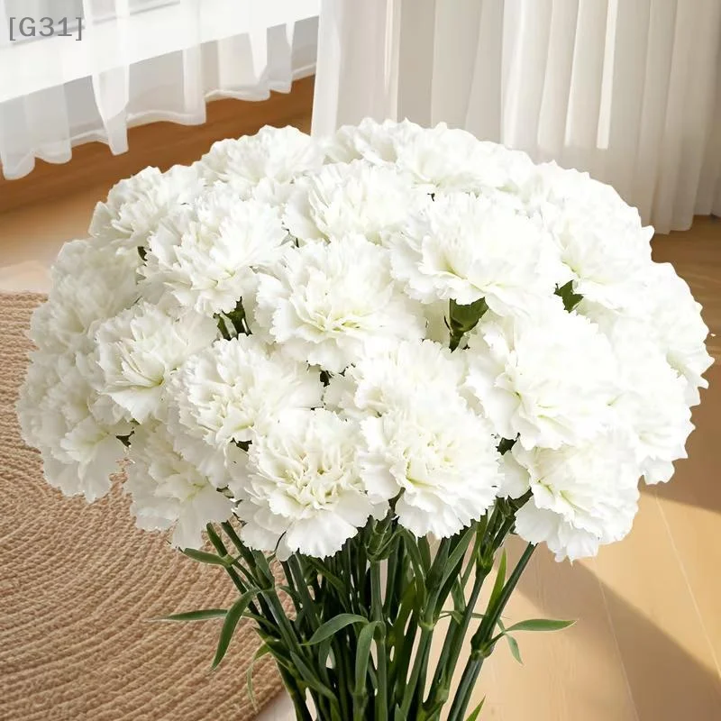 20Pcs Artificial Carna Flowers Plastic Fake Flowers For Wedding Bouquets Floral Arrangements Mothers Day Gifts Home Decor[G31]