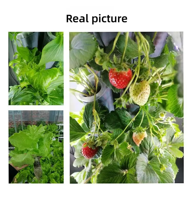 26895-b7f674.jpg Hydroponic Growing System Kit Premium 50-Hole Aeroponic Vertical Tower Pump Mobile Water Tank