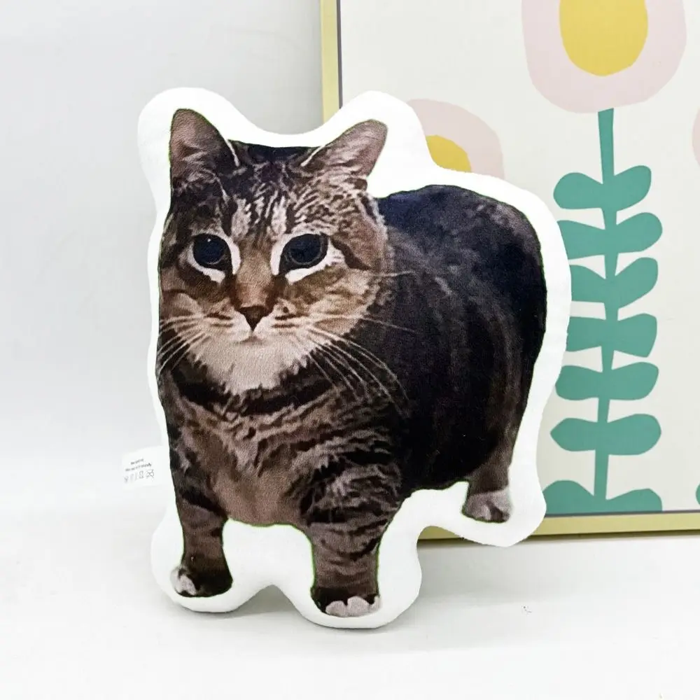 

Cute Plush Cat Meme Pillow Cartoon Fashion Oiiai Cat Pillow Funny Creative Huh Cat Stuffed Toy Bag Hanging