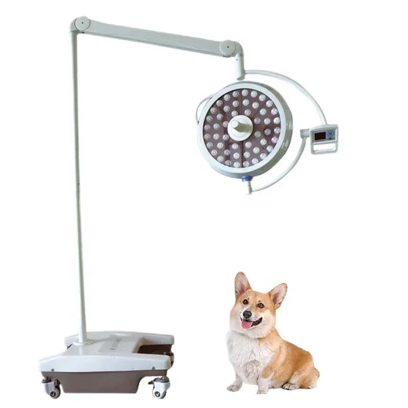 Dawei Veterinary Ceiling-mounted Surgical Lamp Animal Operating Room Lighting