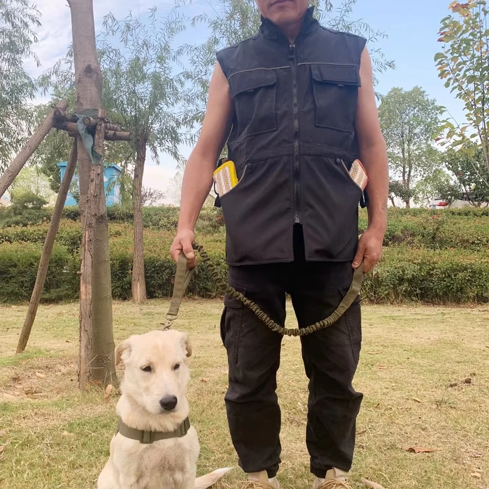 German Shepherd Horse Dog Working Dog Antiscratch Clothing Clothes Dog Training Vest Clothing Dog Equipment Training Supplies