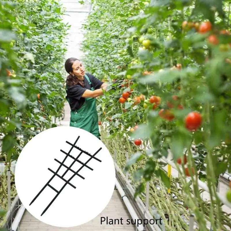 

Plant Trellis for Climbing Plant Indoor Outdoor Garden Trellis for Potted Plant A0KF