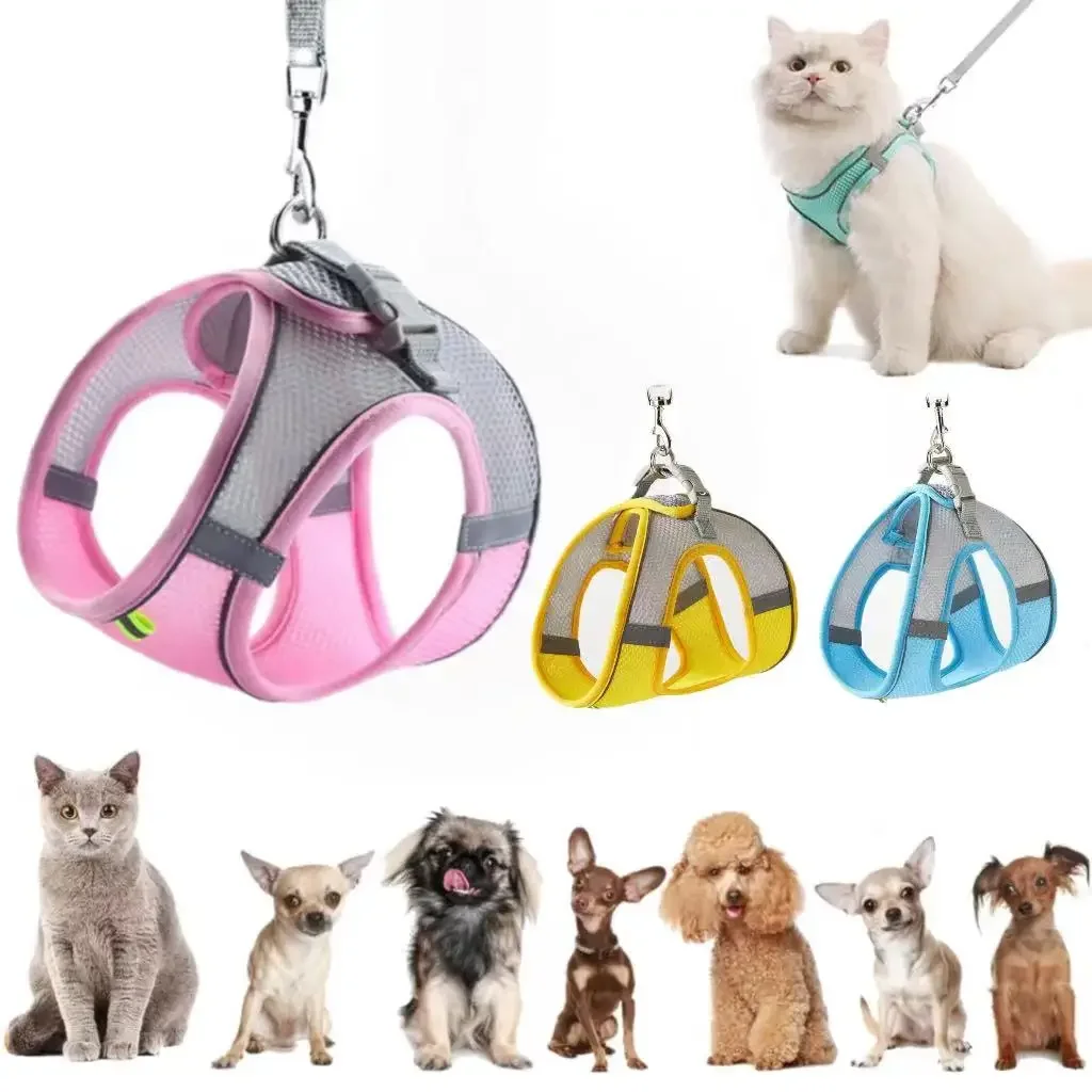 Harnais respirant et réglable pour animaux de compagnie, ensemble de laisse pour petits chiens et chats, Chihuahua, Pug, Bulldog, accessoires de marche en plein air pour chiens