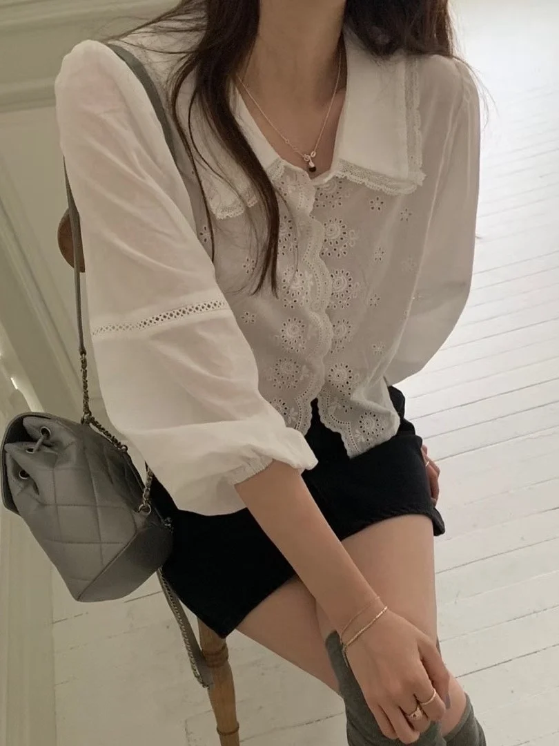 

Stunning Chic Embroidered Single-Button Women's Shirt Korean Style Lantern Sleeve Hollow out Design Beautifully Tailored Top