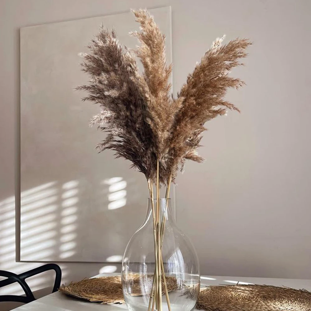 Brown Color Pampas Grass Fluffy Small Reeds Flowers Bouquet Natural Dried Pampas Grass for Flower Arrangements Boho Home Decor