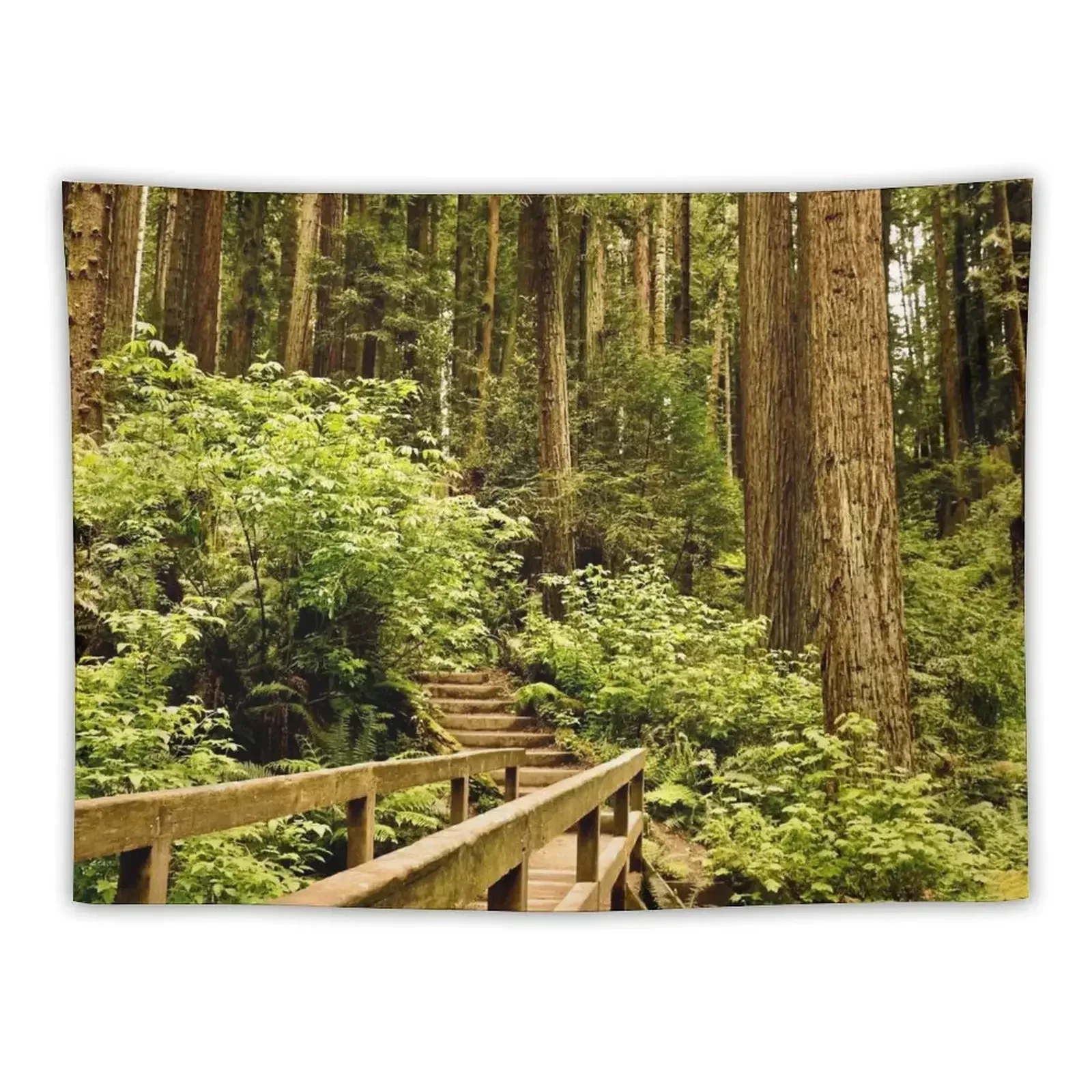 Hiking through the Redwood Forest Tapestry Cute Room Things Bathroom Decor Things To Decorate The Room Tapestry