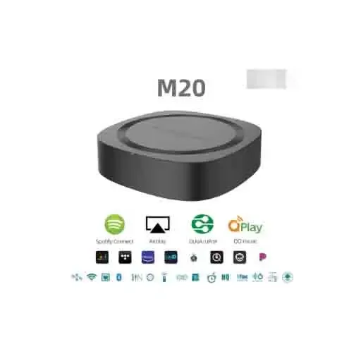오디오캐스트 프로 M20 무선 와이파이 오디오 리시버 멀티룸 에어플레이 블루투스 5.0 뮤직 박스 하이파이 시스템 타딜 티달 판도